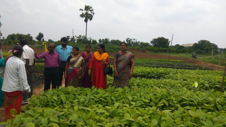 NGC visit to punnel nursary