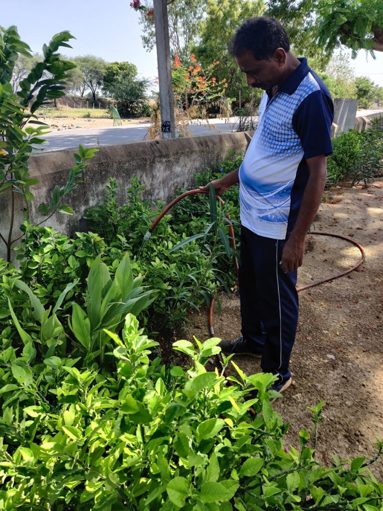 watering to plants (2)